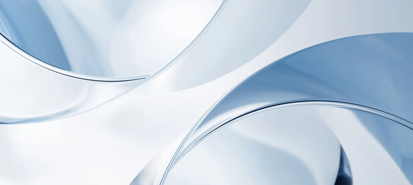 WordPress Websites